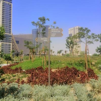Centralp001